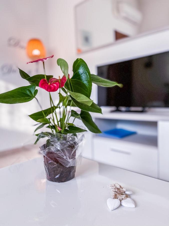 Myhouse Inn Torino - Affitti Brevi Italia Collegno Ngoại thất bức ảnh